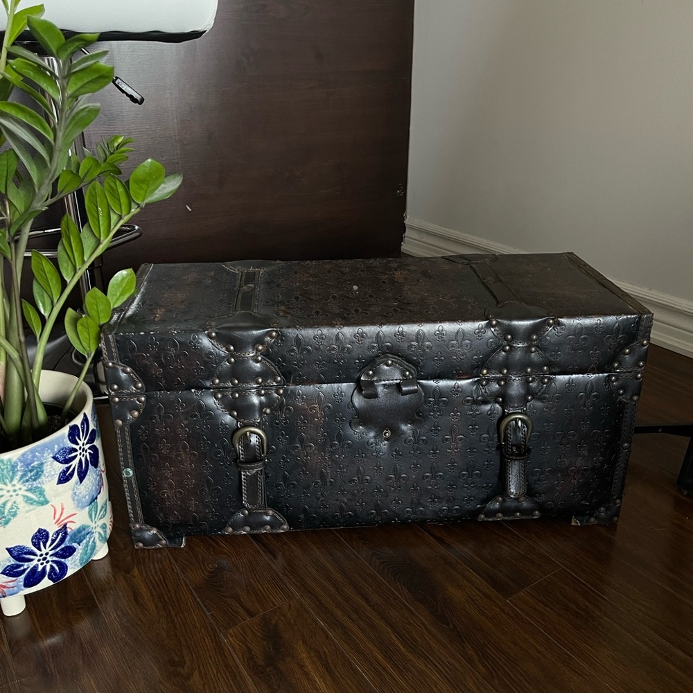 Embroidered Fleur-de-Lis Black Vintage Trunk